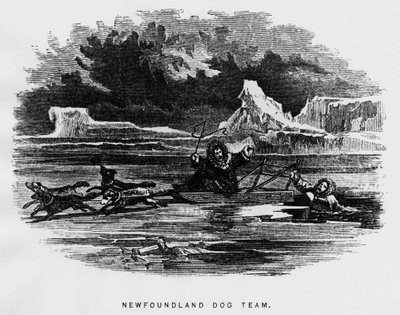 Kuzey Kutbu: Bir adamın havada asılı kaldığı kızak köpeği buzun içinden düşüyor - Elisha Kent Kane, Arctic Explorations in the years 1853-1855, Philadelphia, Childs ve Peterson by Unknown artist