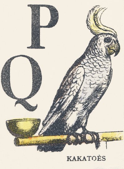 P S: kakatolar by Unknown artist