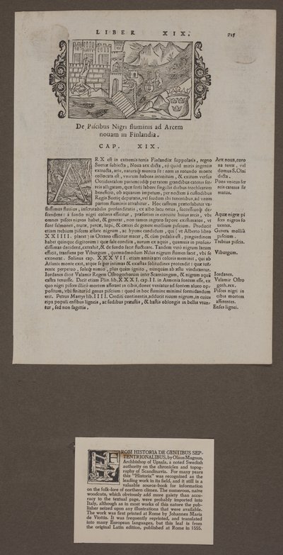 Olaus Magnus