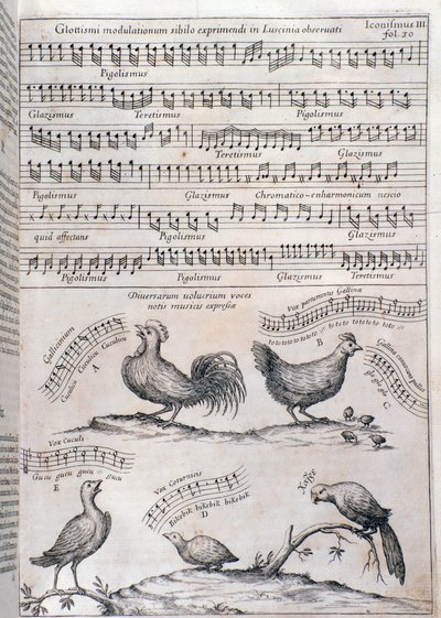 Musurgia