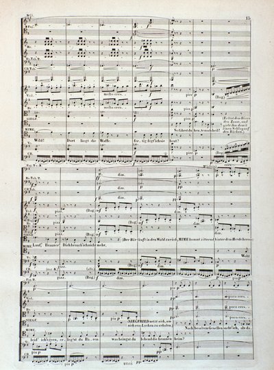 Siegfried