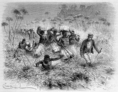 Livingstone ve hamalları tarafından Chisera
