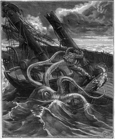 Nergis Nicaise