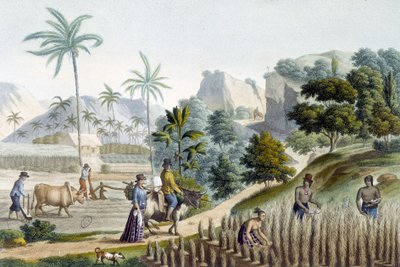 Guam Adası