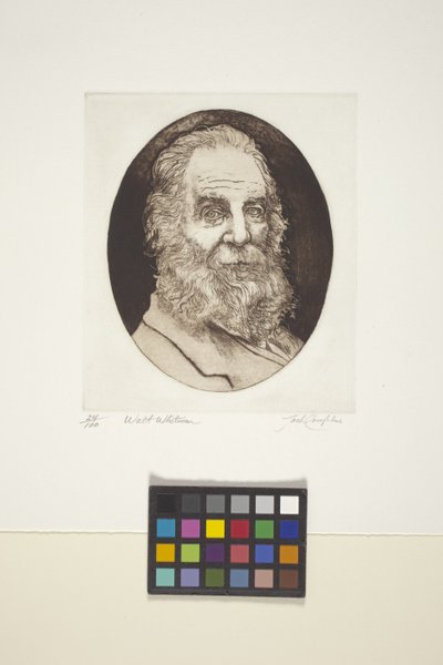 Walt Whitman'ın Portresi (mürekkep, baskı) by Unknown artist