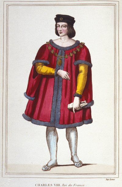 Charles VIII (1470 - 1498), Fransa Kralı