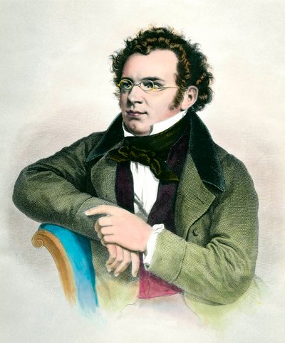 Avusturyalı besteci Franz Schubert'in (1797-1828) portresi. 19. yüzyılın gravürü. Özel koleksiyon by Unknown artist