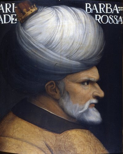 Cezayir Naipliği