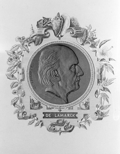 Lamarck