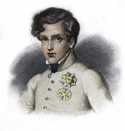 Napolyon I, Reichstadt Dükü