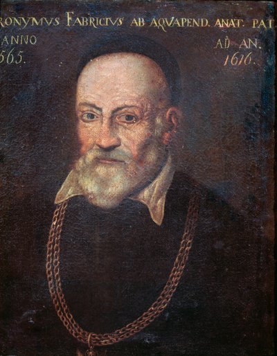 Öncü anatomist ve cerrah Hieronymus Fabricius