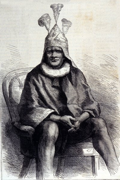 Zulu Kralı Cetshwayo
