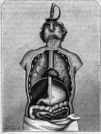 Bir kırlangıç gövdesinde bıçağın kapladığı konum. 21 Temmuz 1883 tarihli “” La Nature: revue des sciences et de leurs apps aux arts et a l