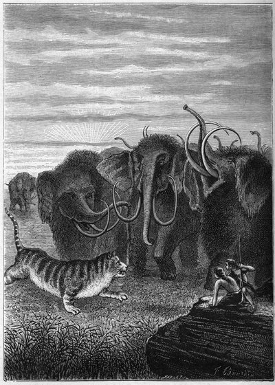 Tarih Öncesi: Mamutlar ve kedi dev mağaraları. Elie Berthet