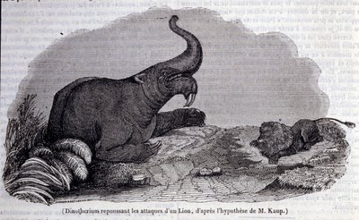 Tarihöncesi: bir aslanın saldırısını püskürten bir Dinotherium, dayanıklı deri türü temsili. 19. yüzyıl gravürü by Unknown artist