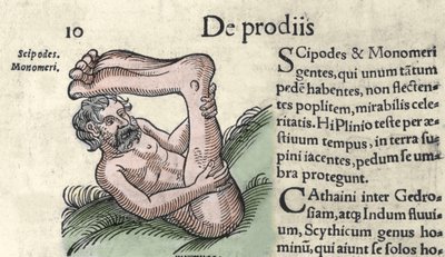 Bir Sciapod canavarının temsili Wolfhart (Conrad Lycostene) 1557