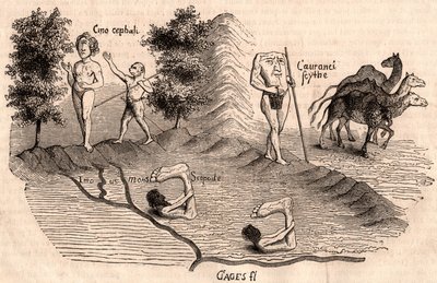 Ortaçağ kabilelerinin ve hayvan türlerinin temsili: Monocules, Blemmys, Sciopodes ve develer by Unknown artist