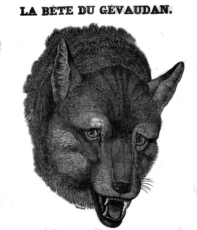 Bete du Gevaudan