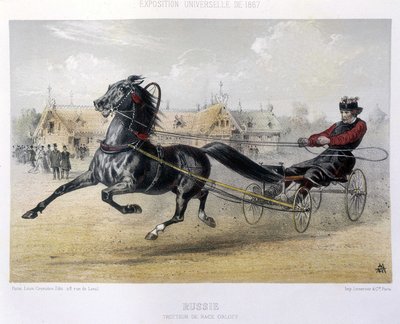 Rusya: Orloff cinsi paça - “” Centaur”da” 1867 by Unknown artist