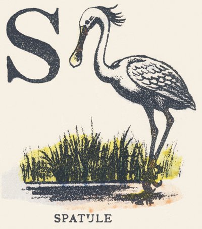 S: spatula by Unknown artist