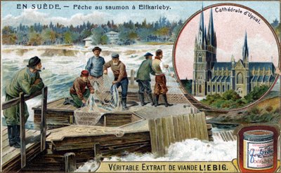Elfkarleby, İsveç