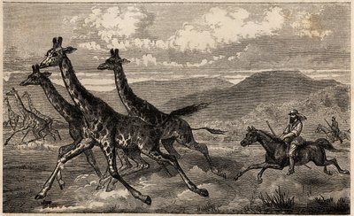 Samuel W. Baker, Yukarı Nil bölgesinde Orta Afrika