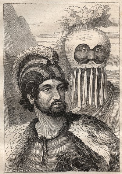Kaptan James Cook (1728-1779) tarafından ikinci sefer (1772-1775): Sandviç Adaları türleri (Cook Adası, Güney Sandviç Adaları) - “18. Yüzyılın Büyük Denizcileri”nden alınan çizim” by Unknown artist