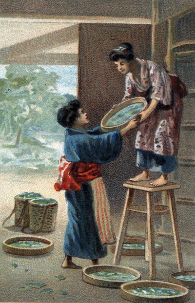 Japon mıknatısında ipekböceği üremesi. 19. yüzyılın sonlarında kromolitografi. by Unknown artist