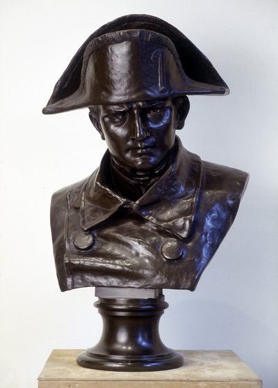 19. yüzyılda bronz Napolyon heykeli by Unknown artist