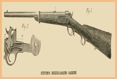 Stevens Makattan Doldurmalı Karabina by Unknown Artist