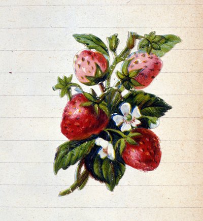 Çilekler. 19. yüzyıl kromolitografisi. by Unknown artist