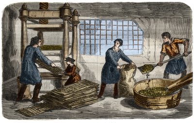 Şeker üretimi: pancar küspesinden meyve suyu çıkarılması. Hamur, hidrolik pres tepsisinin altına istiflenen torbalara doldurulur. 1859