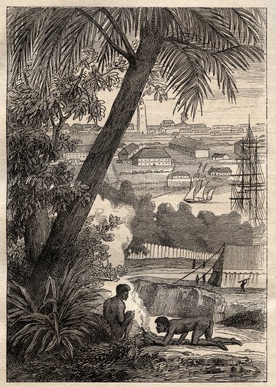 Güney Topraklarına Yolculuk (1800-1803) Nicolas Baudin (1754-1803): Sidney