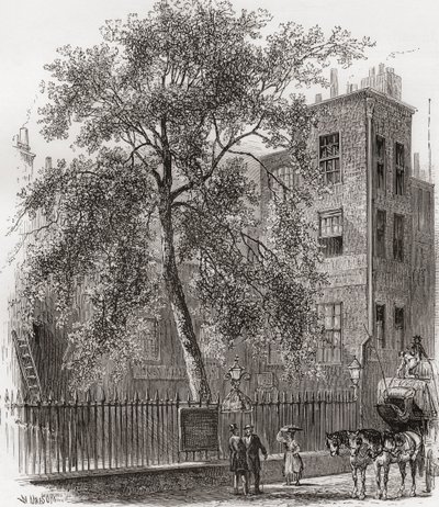 The Plane Tree, Wood Street, Cheapside, Londra, İngiltere 19. yüzyılda by Unknown artist