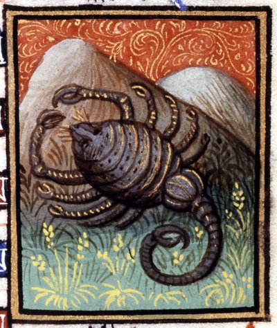 Akrep. Bir burcun minyatürü. 15. yüzyıl el yazması. İncil. Trivulziana, Milano. by Unknown artist