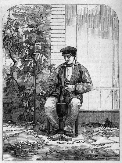 Şampanya şarabının şişelenmesi. 1864