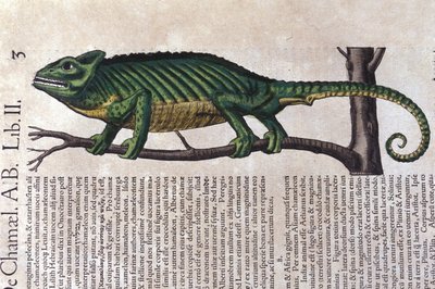 Historia Animalium
