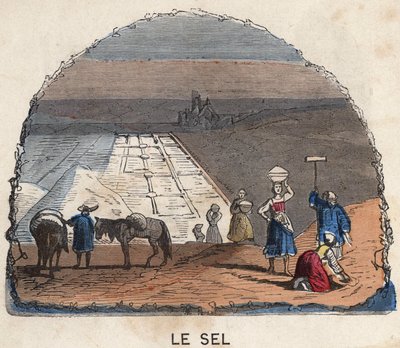 Tuz koleksiyonu. 19. yüzyıl illüstrasyonu. Bianchetti koleksiyonu. by Unknown artist