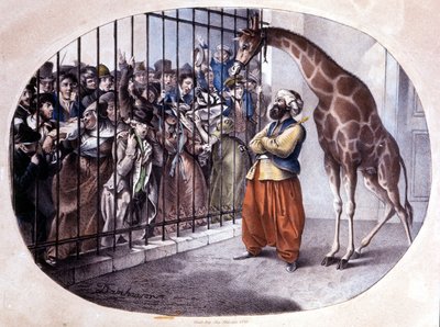 Meraklı kalabalık bir kapının arkasında bir zürafa görmek için koştu. Danhaaren tarafından litografi. 1829 by Unknown artist