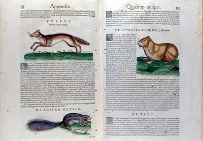 Conrad Gesner (1516 - 1565), Tiguri tarafından Historia Animalium