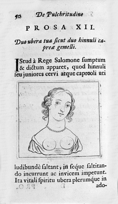Kadınsı göğüs. “” Tractatus physiologicus de pulchritudine”””den alınan sayfa, Ernesto Venio