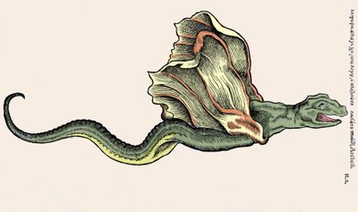 Uçan ejderha Amphiptere (Amphitere veya Amphitere veya Amphipthere) Conrad Gesner (1516 - 1565), Tiguri tarafından Historia Animalium