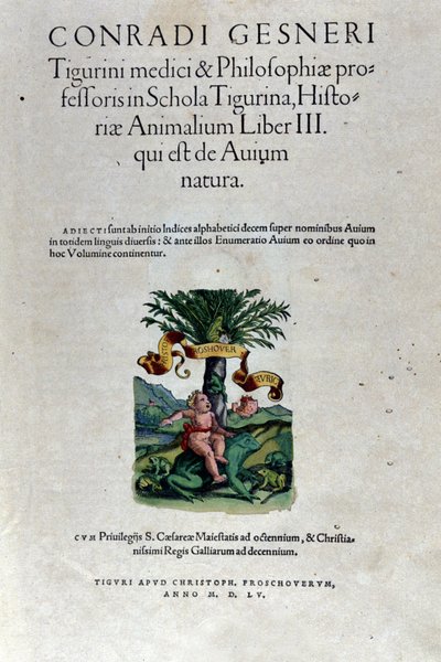 Conrad Gesner (1516 - 1565), Tiguri tarafından yazılan Historia Animalium