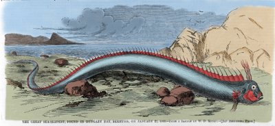 22/01/1860 tarihinde Bermuda