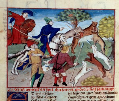 Vahşi kedi avı Minyatür, Gaston III Phoebus, Count of Foix, Lord of Bearn (1331-1391) tarafından “Avlanma Kitabı”ndan alınmıştır. by Unknown artist