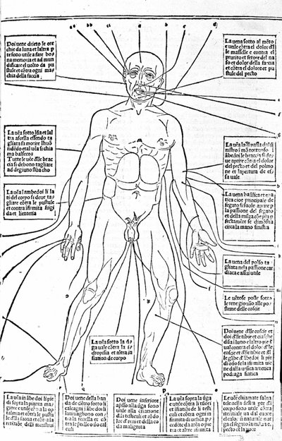 Bu resim vücudun yerlerini gösterir veya ağrıya bağlı olarak kanama pratiği yapar. Tıp İncelemesi, Gerolamo Cardano (Cardanus Hieronymus), Floransa by Unknown artist
