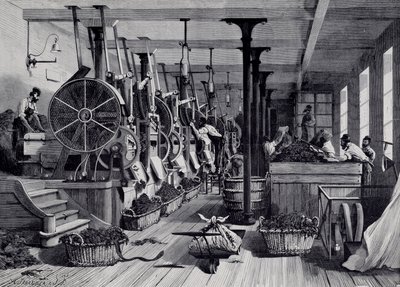 Tütün fabrikası, çamaşır odası ve tütün tecavüzü. 1867 civarında gravür. Paris, Musee Carnavalet by Unknown artist