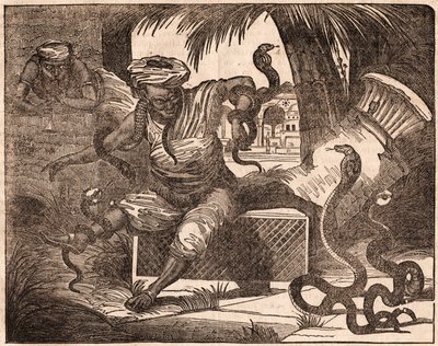 İki Hintli büyüleyici yılan by Unknown