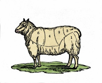 Çeşitli koyun kasap parçaları. 19. yüzyıl sonu illüstrasyonu. by Unknown artist