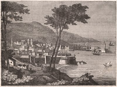 Barselona kentindeki ormanlık bir tepeden görünüm, Katalonya, İspanya by Unknown